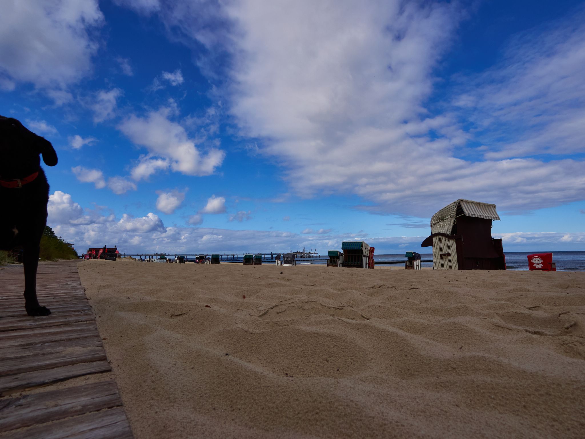 Landschaft 2024  1700 Usedom
